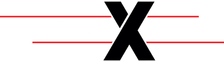 System X logo